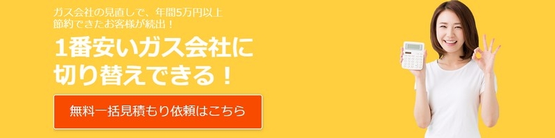 �k�o�K�X�̑����ς���y�G�l�s�z���T�C�g